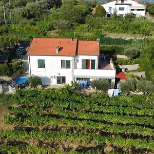  Bed & Breakfast In Vino Veritas Itálie